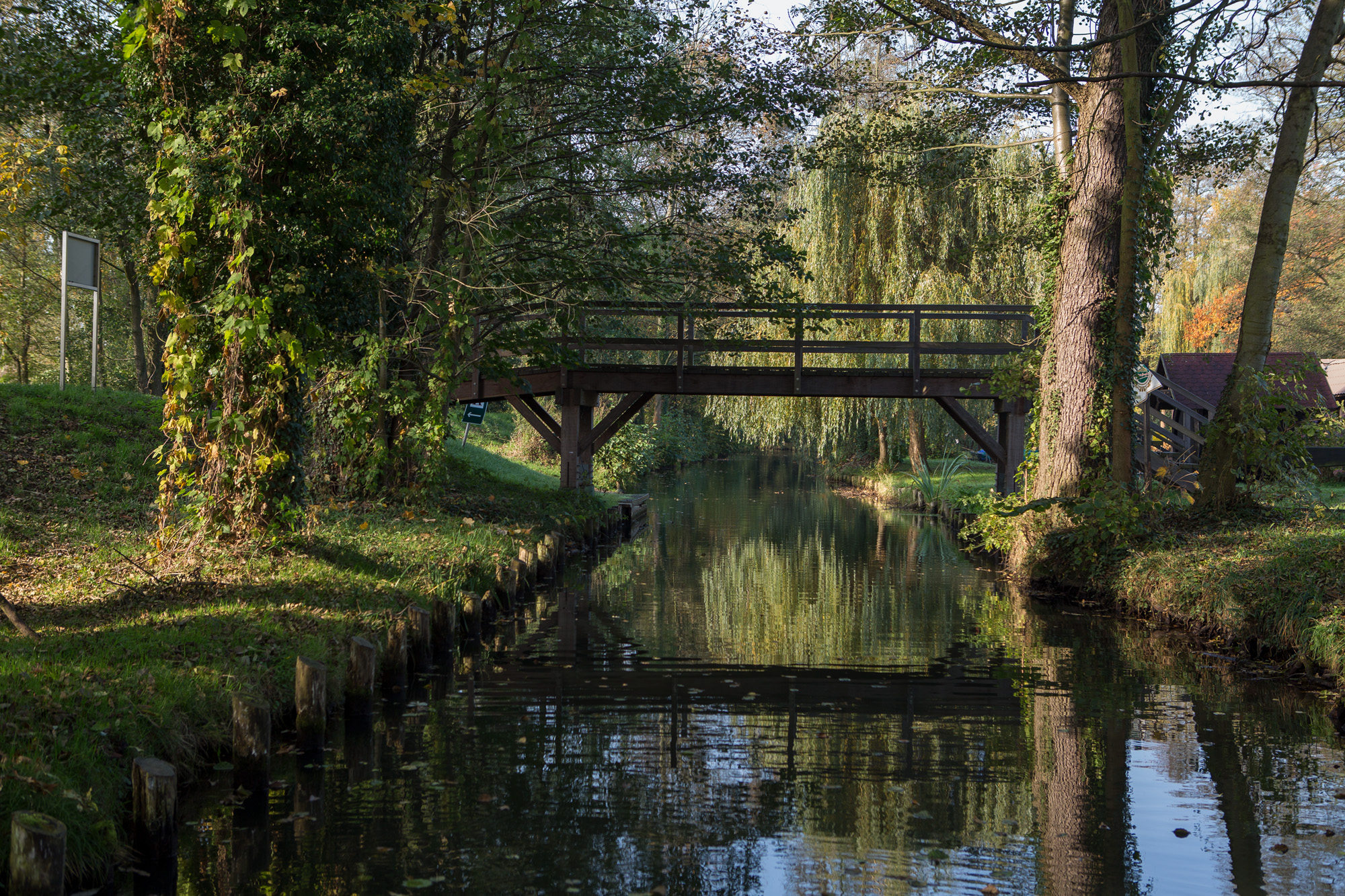 Einsame Wiese am Spreewaldfluss - perfekt für den Hochzeitsantrag